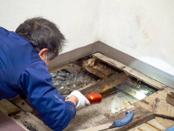 Water Damage Restoration in Westland, MI