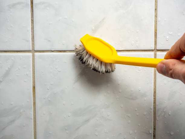 Best Mold Cleaning Services  in Westland, MI