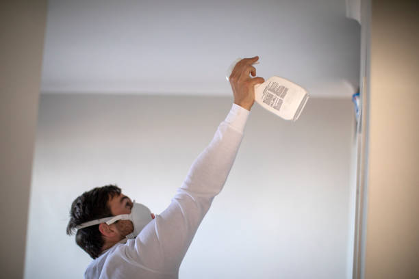 Best Local Mold Removal Service  in Westland, MI