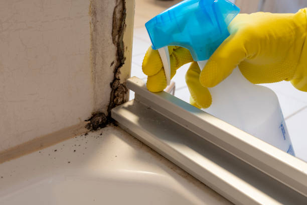 Best Mold Testing  in Westland, MI