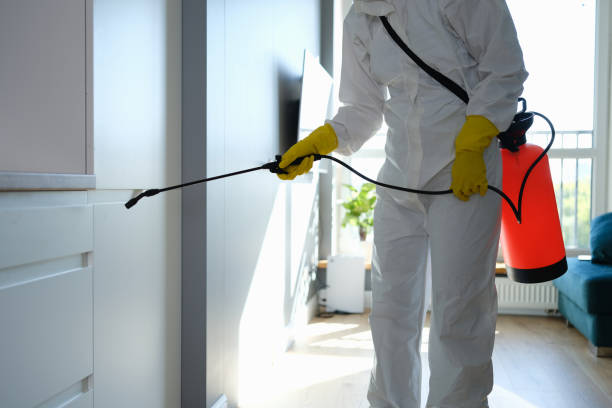 Best Professional Mold Removal  in Westland, MI