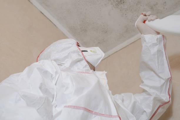 Best Professional Mold Removal  in Westland, MI