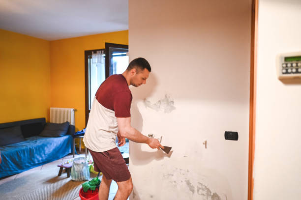 Best Best Mold Removal Companies  in Westland, MI